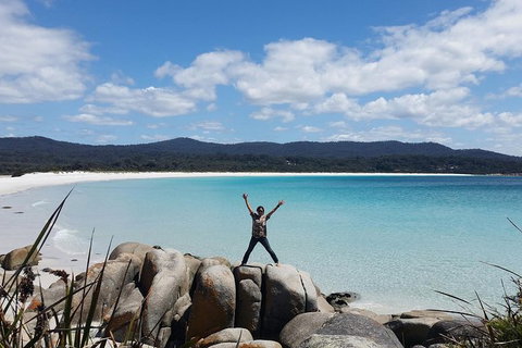 Tasmania 4 Day East Coast + Launceston - Whitsundays Accommodation 5