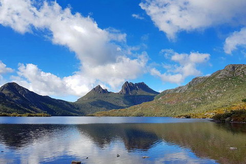 Tasmania 13 Day Premium Tour - Whitsundays Accommodation 0