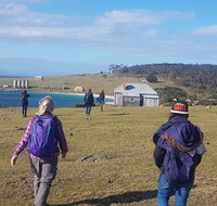4-Day Hobart Adventure Tour Maria Island Cape Raoul Mount Field Cape Hauy - Whitsundays Accommodation