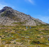 3-Day Hobart Adventure Tour Mount Field Cape Hauy and Hartz Peak - Whitsundays Accommodation