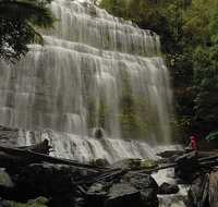 Guided Shore Excursion Mt Field National Park Salmon Ponds Bonorong Wildlife - Whitsundays Accommodation
