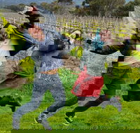 Mclaren Vale Luxury Full Day Small Group Wine Tour