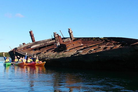 Adelaide Dolphin Sanctuary And Ships Graveyard Kayak Tour - Whitsundays Accommodation 1