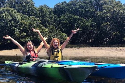 Adelaide Dolphin Sanctuary And Ships Graveyard Kayak Tour - Whitsundays Accommodation 4