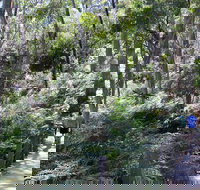 Self-Guided Waterfall Gully to Mount Lofty Hike from Adelaide - Whitsundays Accommodation