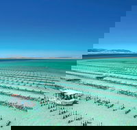 Coffin Bay Day Tour - A Taste of Coffin Bay