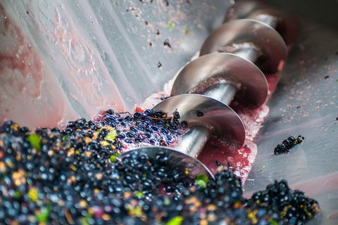 The Ultimate Shottesbrooke Wine & Food Experience - Whitsundays Accommodation 9