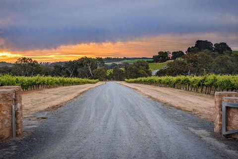 The Ultimate Shottesbrooke Wine & Food Experience - Whitsundays Accommodation 2