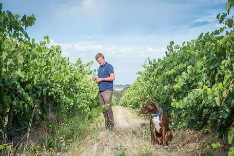 The Ultimate Shottesbrooke Wine & Food Experience - Whitsundays Accommodation 7