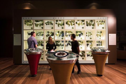 Australian Wine Discovery Tour With Tastings - Whitsundays Accommodation 5