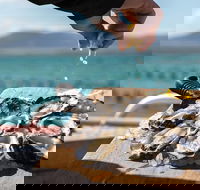 Experience Coffin Bay Oyster Farm and Bay Tour