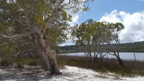 North Stradbroke Island Day Trip From Brisbane - Whitsundays Accommodation 14