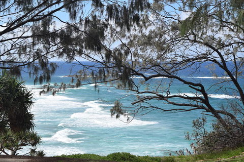 North Stradbroke Island Day Trip From Brisbane - Whitsundays Accommodation 12