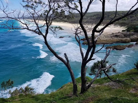 North Stradbroke Island Day Trip From Brisbane - Whitsundays Accommodation 5