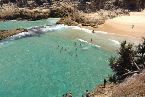 North Stradbroke Island Day Trip From Brisbane - Whitsundays Accommodation 1