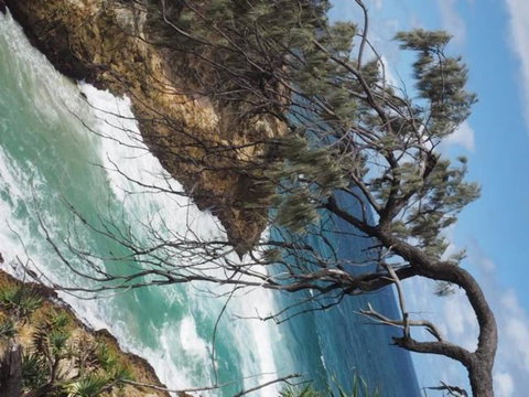 North Stradbroke Island Day Trip From Brisbane - Whitsundays Accommodation 16