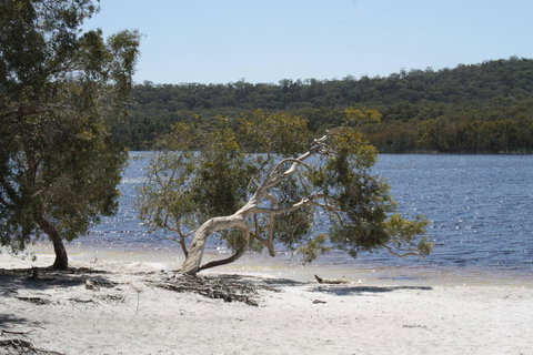 North Stradbroke Island Day Trip From Brisbane - Whitsundays Accommodation 24