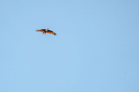 North Stradbroke Island Day Trip From Brisbane - Whitsundays Accommodation 32