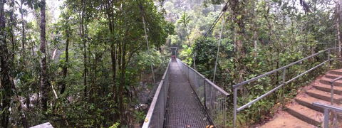 Cape Tribulation, Mossman Gorge, And Daintree Rainforest Day Trip From Cairns Or Port Douglas - Whitsundays Accommodation 4
