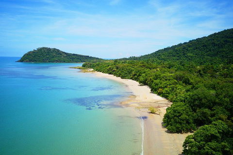 Cape Tribulation, Mossman Gorge, And Daintree Rainforest Day Trip From Cairns Or Port Douglas - Whitsundays Accommodation 10