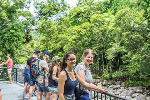 Cape Tribulation, Mossman Gorge, And Daintree Rainforest Day Trip From Cairns Or Port Douglas - Whitsundays Accommodation 15