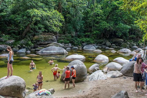 Cape Tribulation, Mossman Gorge, And Daintree Rainforest Day Trip From Cairns Or Port Douglas - Whitsundays Accommodation 14