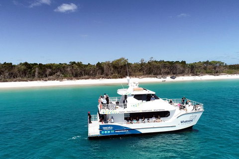 Hervey Bay Whale Watching Experience - Whitsundays Accommodation 11