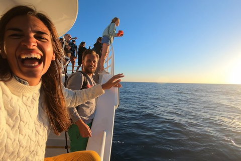 Hervey Bay Whale Watching Experience - Whitsundays Accommodation 9