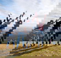 Full Day Mount Tamborine Winery Tour from Gold Coast - Whitsundays Accommodation