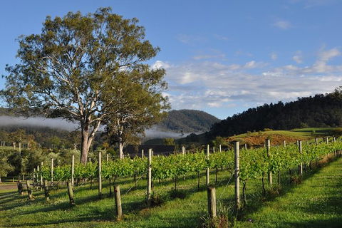 Full Day Mount Tamborine Winery Tour From Gold Coast - Whitsundays Accommodation 15