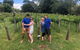 Full Day Mount Tamborine Winery Tour From Gold Coast - thumb 6