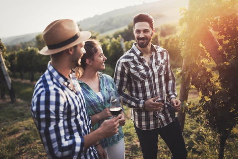 Full Day Mount Tamborine Winery Tour From Gold Coast - Whitsundays Accommodation 13