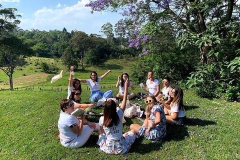 Full Day Mount Tamborine Winery Tour From Gold Coast - Whitsundays Accommodation 11