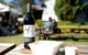 Full Day Mount Tamborine Winery Tour From Gold Coast - thumb 10