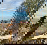 Goolimbil Walkabout Indigenous Experience in the Town of 1770 - Whitsundays Accommodation