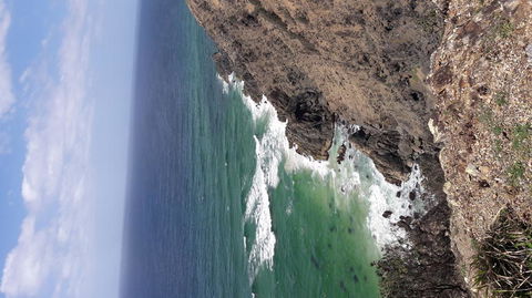 Chill Out At Byron Bay From Gold Coast - Whitsundays Accommodation 2