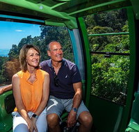 Skyrail Rainforest Cableway Day Trip from Palm Cove - Whitsundays Accommodation