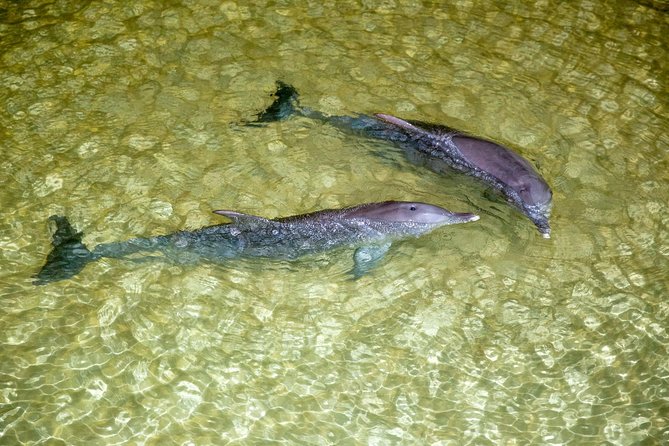 Brisbane QLD Whitsundays Accommodation