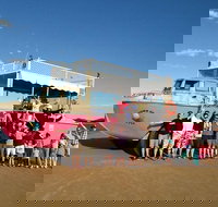 Town of 1770 Afternoon Cruise - Whitsundays Accommodation