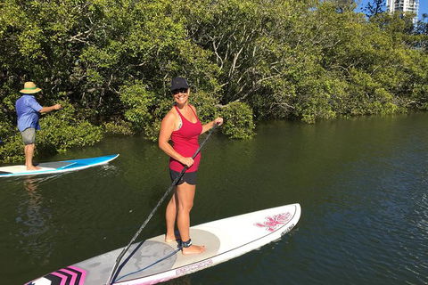 Stand Up Paddle Hire - Whitsundays Accommodation 4