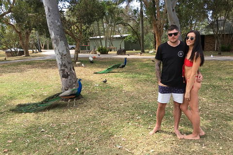 Surfers Paradise Stand Up Paddle Tour - Whitsundays Accommodation 5