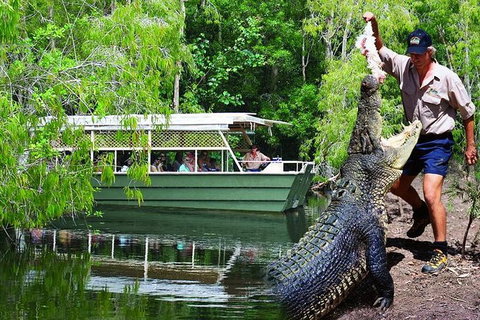 Crocs, Creatures And Culture Ex Northern Beaches - Whitsundays Accommodation 1