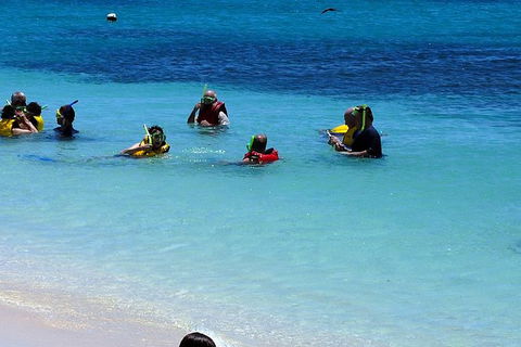 Ocean Spirit Michaelmas Cay Dive And Snorkel Cruise From Palm Cove - Whitsundays Accommodation 1