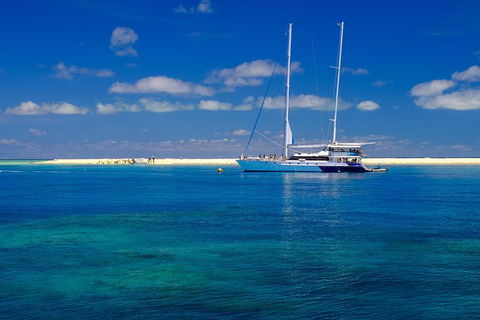 Ocean Spirit Michaelmas Cay Dive And Snorkel Cruise From Palm Cove - Whitsundays Accommodation 3