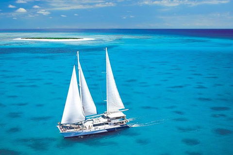 Ocean Spirit Michaelmas Cay Dive And Snorkel Cruise From Palm Cove - Whitsundays Accommodation 8