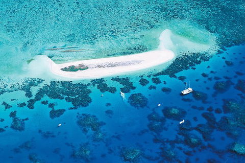 Ocean Spirit Michaelmas Cay Dive And Snorkel Cruise From Palm Cove - Whitsundays Accommodation 7