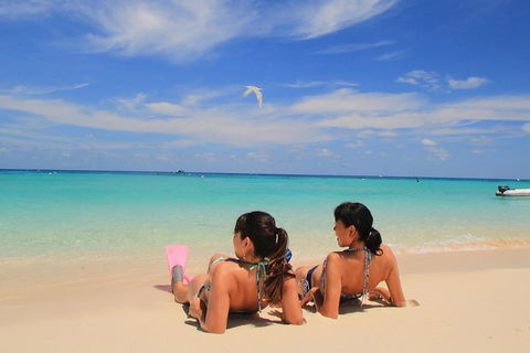 Ocean Spirit Michaelmas Cay Dive And Snorkel Cruise From Palm Cove - Whitsundays Accommodation 2