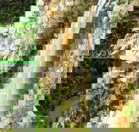 Rainforest  Waterfalls Extravaganza - Whitsundays Accommodation