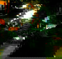 Private Surfers Paradise Paranormal Activity Walking Tour - Whitsundays Accommodation