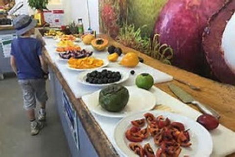 Tropical Fruit World With Wildlife Boat Cruise From Gold Coast - Whitsundays Accommodation 17